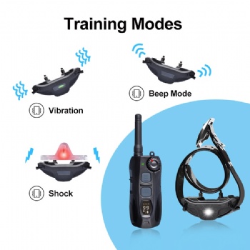 Waterproof Rechargeable 2000M Remote control Hunting Dog Training Collars Best for Professional DOG Trainer