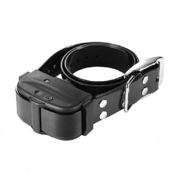 DT3200 Professional Hunting Dog Trainer Collars with remote range 300meters