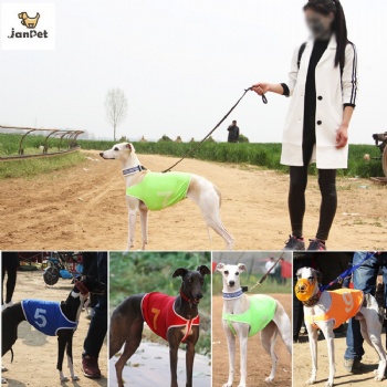 Summer Dog Vest Racing Jackets Coat Whippet Greyhound Suit Jersey Breathable Sports Dog Clothes