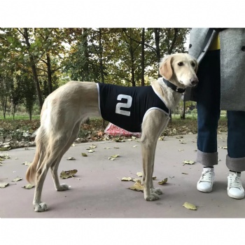 Summer Dog Vest Racing Jackets Coat Whippet Greyhound Suit Jersey Breathable Sports Dog Clothes
