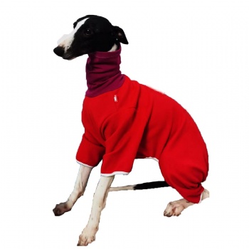 Winter Warm Pet Dog Clothes Racing Dog Jacket Hoodie Thick Velvet Warm Cotton Coat for Whippet Greyhound Gree Afghan Hound
