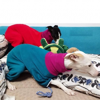 Winter Warm Pet Dog Clothes Racing Dog Jacket Hoodie Thick Velvet Warm Cotton Coat for Whippet Greyhound Gree Afghan Hound