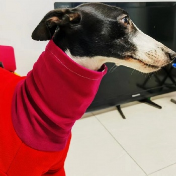 Winter Warm Pet Dog Clothes Racing Dog Jacket Hoodie Thick Velvet Warm Cotton Coat for Whippet Greyhound Gree Afghan Hound