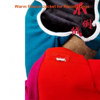Winter Warm Pet Dog Clothes Racing Dog Jacket Hoodie Thick Velvet Warm Cotton Coat for Whippet Greyhound Gree Afghan Hound