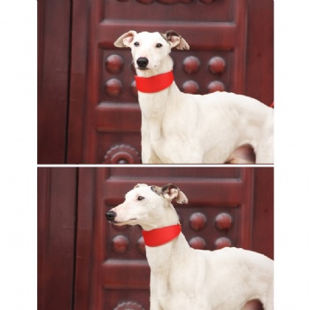 Cowhide Pet Dog Collar Durable Adjustable Necklace for Small/Medium Dogs Gree Greyhound Whippet