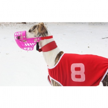 Cowhide Pet Dog Collar Durable Adjustable Necklace for Small/Medium Dogs Gree Greyhound Whippet