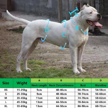 Wild Boar Dog Catch Vest Outside Pig Hunting Clothes Hog Cut Gear Vest With Collar Protection Scurity Dog Clothes Hunting Armor